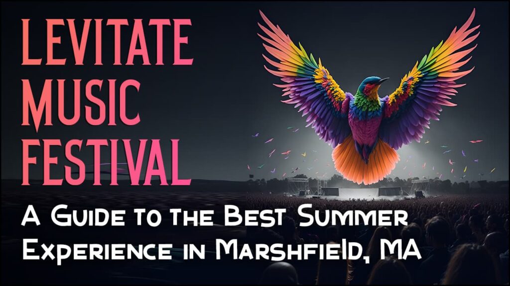 levitate music festival