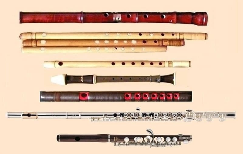flute woodwind instrument