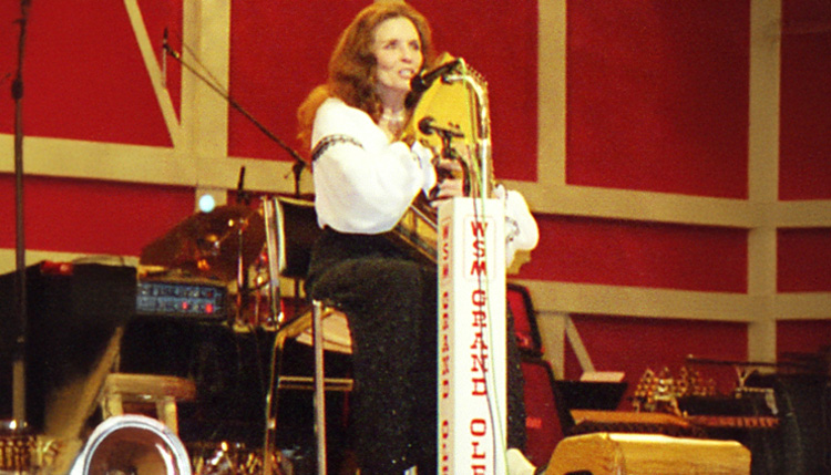 autoharp strings